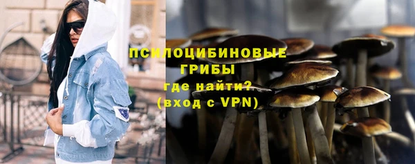 ALPHA PVP Майский