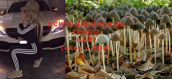 MESCALINE Магас