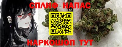 ешки Дубна