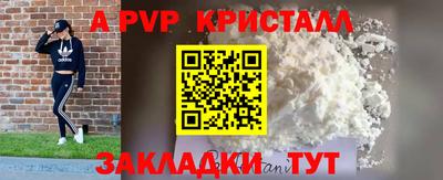 прущие крисы Донской