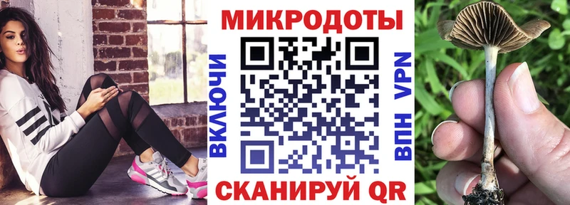 Псилоцибиновые грибы Psilocybe  где можно купить   Георгиевск 