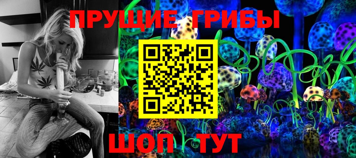 Галлюциногенные грибы Cubensis  Георгиевск 