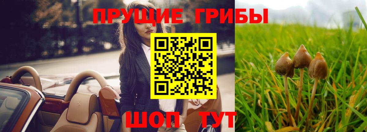 Галлюциногенные грибы мухоморы Георгиевск