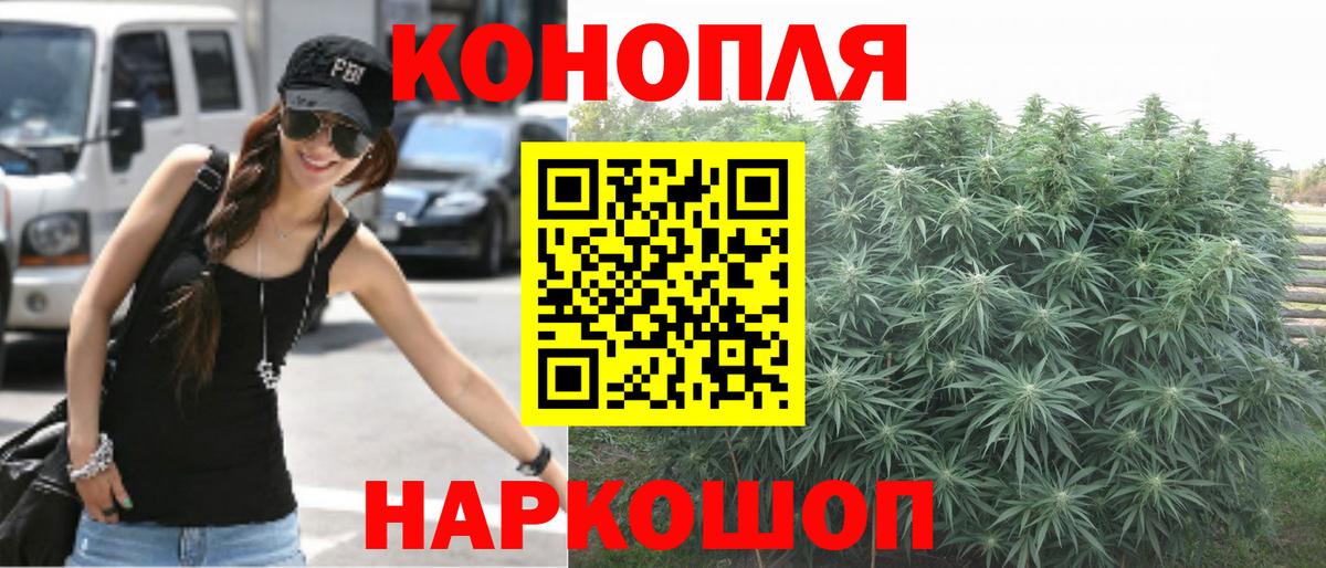 APVP Георгиевск